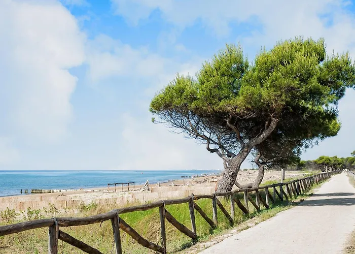 Lejlighed Bright Flat In Bibione-beahost *